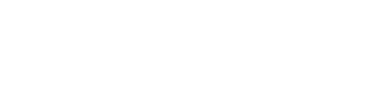 VANE Logo